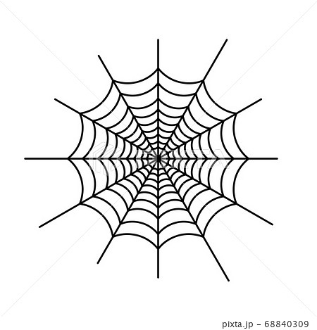 蜘蛛の巣のイラストのイラスト素材