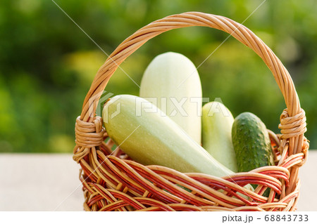 Zucchinis and cucumber in a wicker basket in 68843733