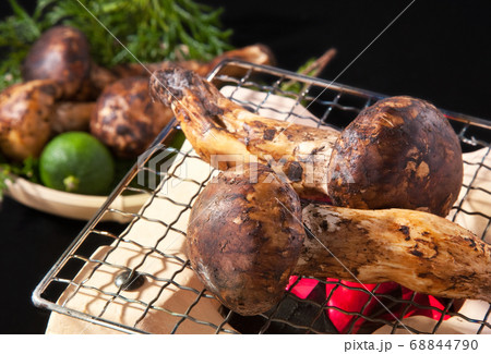 焼き松茸 焼き松茸 68844790