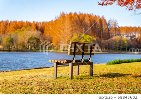 秋のみさと公園 68845602