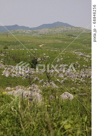 秋吉台カルスト大地の風景 68846256