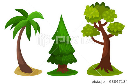 Tree with Exuberant Green Foliage and Trunk Vector Illustration 68847184