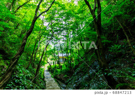 新緑の御橋観音 【長崎県佐世保市】 新緑の御橋観音 【長崎県佐世保市】 68847213