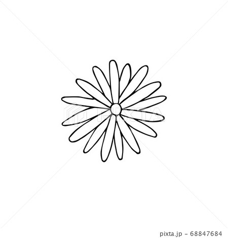Vector hand drawn doodle sketch chamomile flower Vector hand drawn doodle sketch chamomile flower 68847684