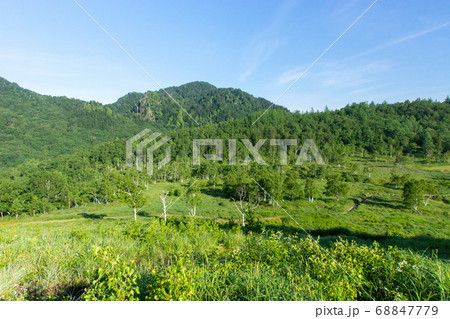 志賀高原、田ノ原湿原を望む 68847779