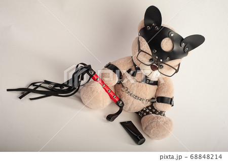 toy bear dressed in leather belts harness accessory for bdsm games on a light background 68848214