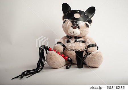 toy bear dressed in leather belts harness accessory for bdsm games on a light background toy bear dressed in leather belts harness accessory for bdsm games on a light background 68848286