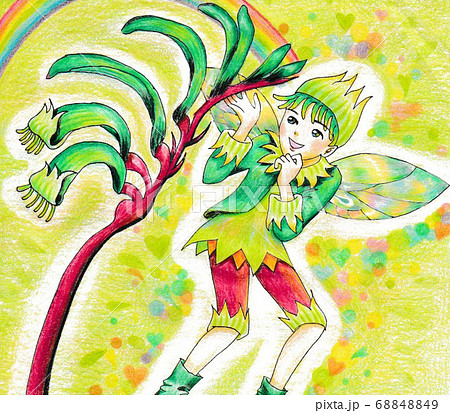 カンガルーポーの花と男の子の妖精のイラスト素材 6449