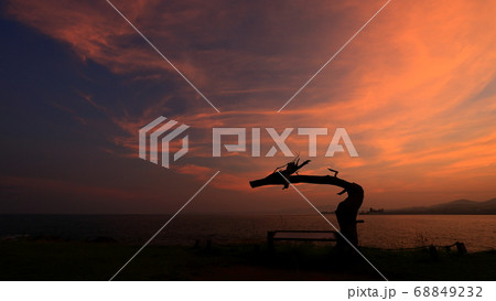宮城県気仙沼市の岩井崎の龍の松と夕景 68849232