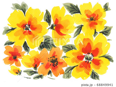 flowers20826pix8 flowers20826pix8 68849941