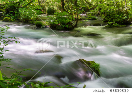 夏の奥入瀬渓流　三乱の流れ　青森県十和田市 68850359