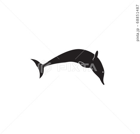 Dolphin graphic design template vector isolated 68851487