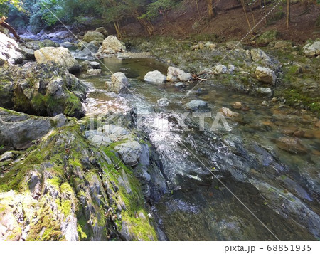 森の中の小川2 68851935