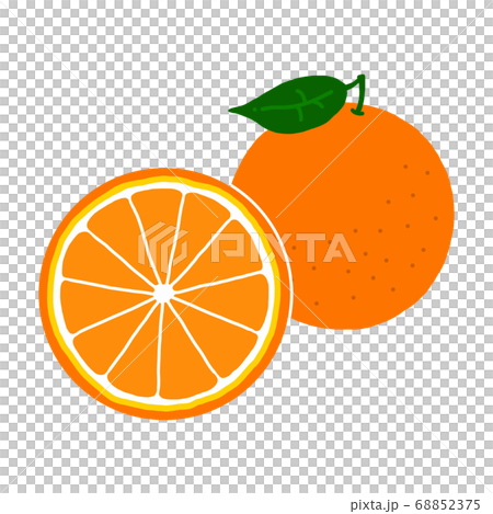 オレンジの手描きイラストアイコンのイラスト素材