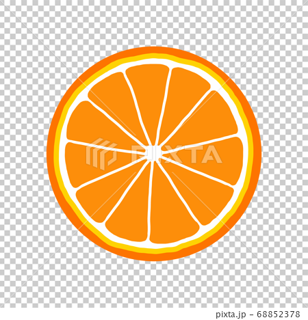 輪切りオレンジの手描きイラストアイコンのイラスト素材