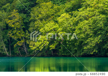 蔦沼の風景　夏　青森県十和田市 68852490