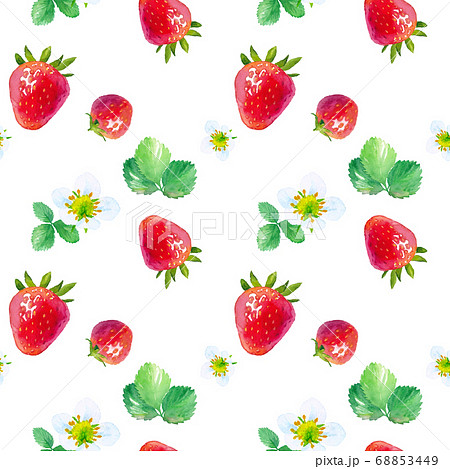 イチゴの水彩イラスト 果実と葉と花をちりばめたパターン 水彩イラストのトレースベクター のイラスト素材 68853449 Pixta