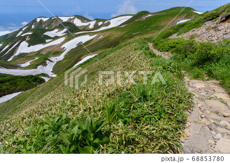 初夏の笙ヶ岳と鳥海山の登山道 初夏の笙ヶ岳と鳥海山の登山道 68853780