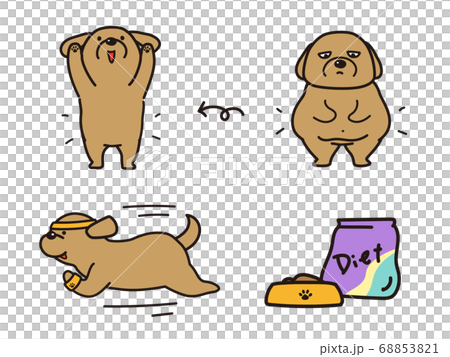 ダイエットに励む犬 ビフォアアフターのイラスト素材 6531