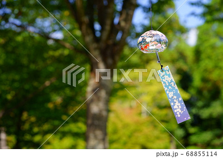 木蔭で涼む 68855114