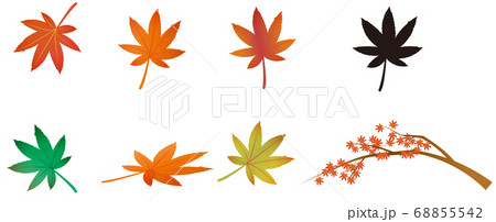秋の紅葉 シルエット 紅葉の木のセットのイラストのイラスト素材