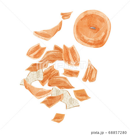 陳皮 チンピ 漢方薬の生薬水彩イラストのイラスト素材