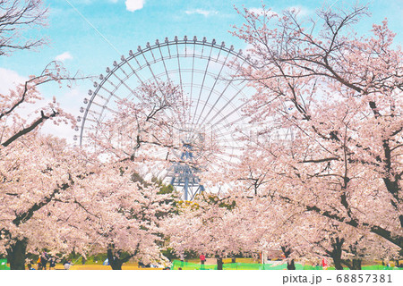 満開の桜と観覧車 満開の桜と観覧車 68857381