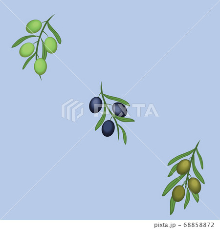 Greek Olive branches on grey blue background Greek Olive branches on grey blue background 68858872