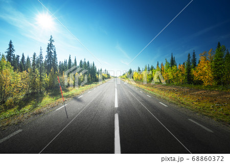 Road in autumn forest, Sweden Road in autumn forest, Sweden 68860372