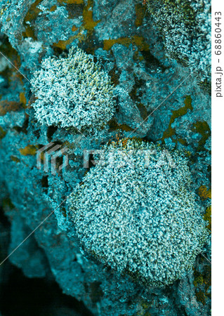 Winter landscape in Iceland. A field of solidified 68860443
