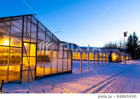 Industrial greenhouses for growing plants in 68860490