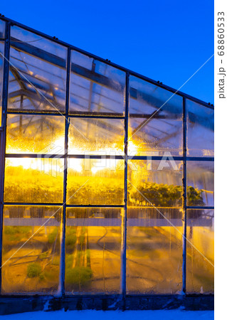 Industrial greenhouses for growing plants in 68860533