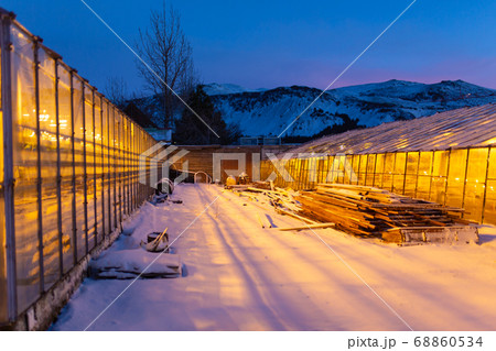 Industrial greenhouses for growing plants in 68860534