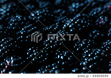 Close-up of ripe black mulberry berries. View from 68860699