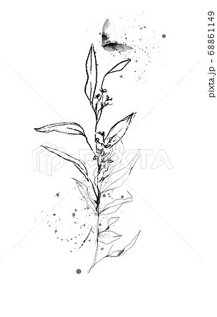 シンプルな 枝 花 水彩 モダン シック 絵具 イラスト 白黒 ペンのイラスト素材