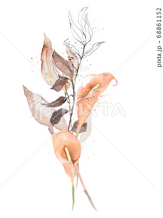 シンプルな 枝 花 水彩 モダン シック 絵具 イラスト ペンのイラスト素材