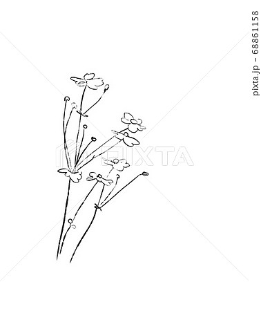 シンプルな 枝 花 水彩 モダン シック 絵具 イラスト 白黒 ペンのイラスト素材