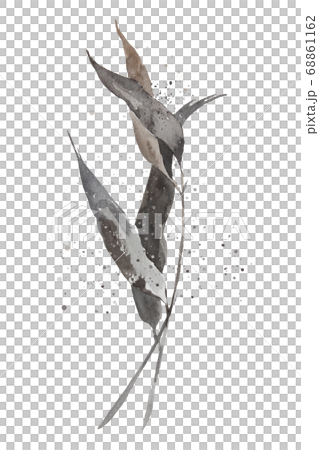 シンプルな　枝　花　水彩　モダン　シック　絵具　イラスト　白黒　ペン 68861162
