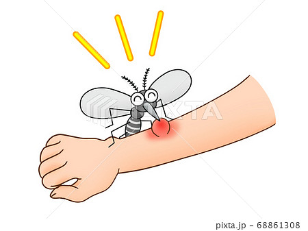 腕から血を吸う蚊のイラスト素材