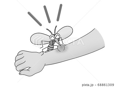 腕から血を吸う蚊 モノクロのイラスト素材