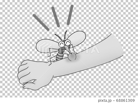 Mosquito sucking blood from his arm_monochrome 68861309