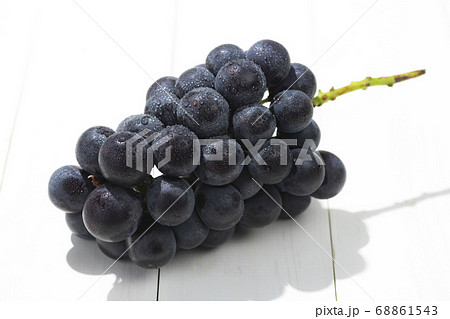 巨峰 夏の果物 巨峰 夏の果物 68861543