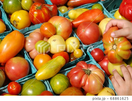ニューヨークのファーマーズマーケットのオーガニックトマト ニューヨークのファーマーズマーケットのオーガニックトマト 68861625
