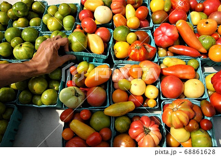 ニューヨークのファーマーズマーケットのオーガニックトマト ニューヨークのファーマーズマーケットのオーガニックトマト 68861628
