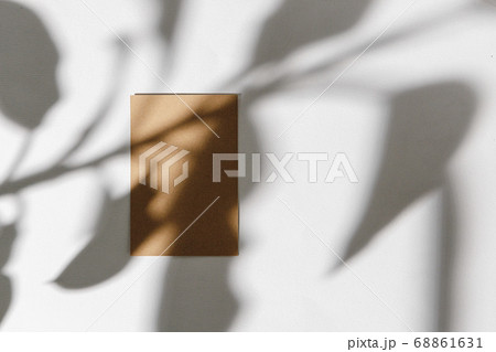 Foliage shadow on paper background with business card 68861631