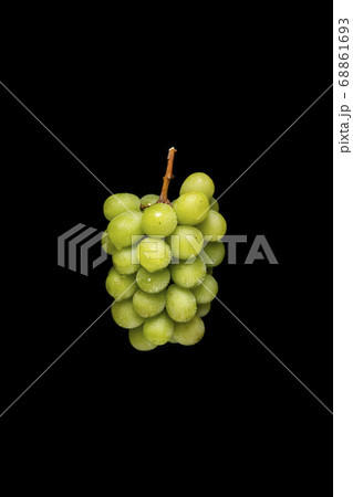 シャインマスカット 黒バック シャインマスカット 黒バック 68861693