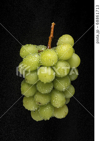 シャインマスカット 黒バック シャインマスカット 黒バック 68861713