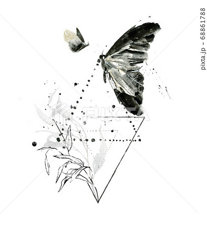 シンプルでモダンなラインアート 水彩画 蝶 幾何学模様 ジェオメタリックのイラスト素材 6617