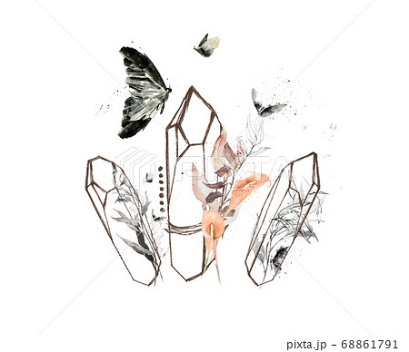 シンプルでモダンなラインアート 水彩画 幾何学模様 ジェオメタリック 蝶のイラスト素材