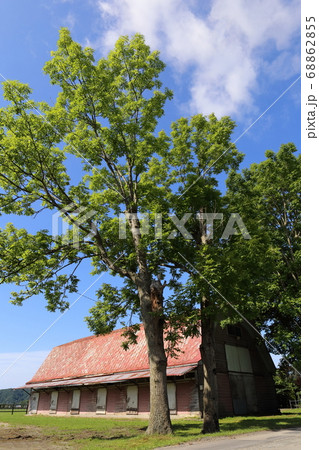 北海道　日高地方　牧場のある風景 68862855